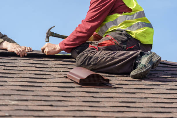 Best Roof Gutter Cleaning  in Minden, LA