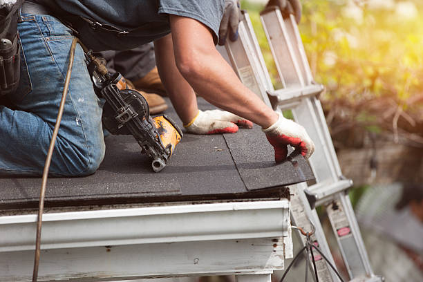 Best Roof Gutter Cleaning  in Minden, LA