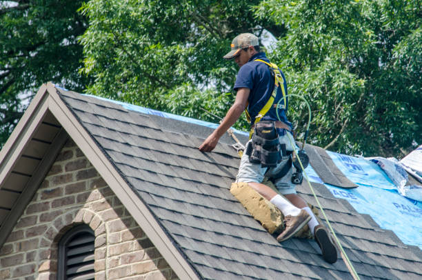 Best Commercial Roofing Services  in Minden, LA